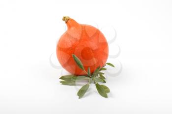 orange pumpkin and sprig of sage on white background