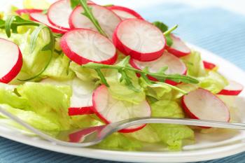 Green salad with sliced radish