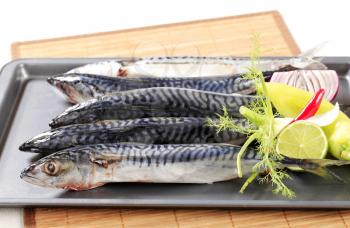 Fresh mackerels and vegetables on baking tin