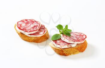 Canapes with slices of French dry sausage