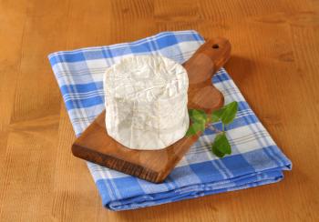 French soft cheese with white Penicillium candidum rind