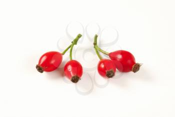 twigs of rose hips on white background