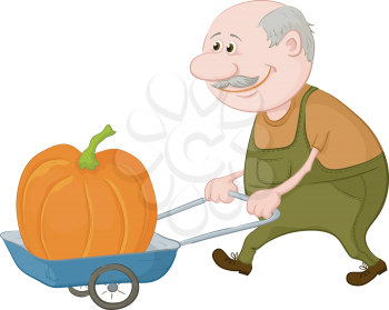 Old men gardener driven truck with pumpkin. Vector illustration