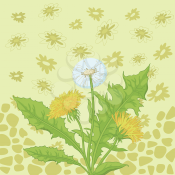 Floral background, dandelion flowers and abstract pattern. Vector