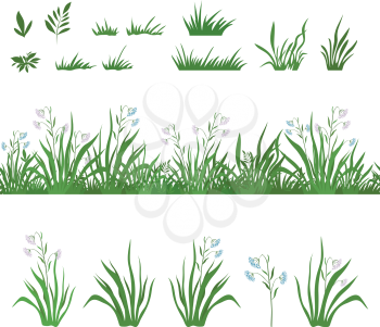 Seamless and set of green grass and flowers, isolated on white background. Vector