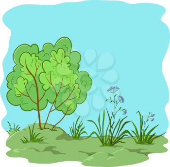 Natural landscape, garden with a grass, flowers and bush. Vector