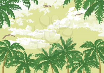 Tropical Landscape, Green Palm Trees, Seagulls and Sky with Clouds. Vector