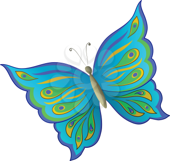 Symbolical colorful butterfly with opened wings on white background. Vector