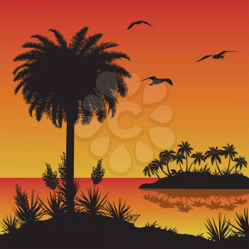 Tropical landscape, sea island with palm trees, bloomer plants Yucca and birds gulls, black silhouettes on red - yellow background. Vector