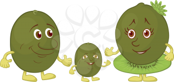 Cartoon, family of character kiwi fruit: mum, father and baby, isolated on white background. Vector illustration