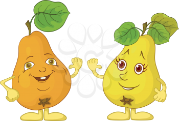 Cartoon fruits, two character pears with green leaves isolated on white background. Vector