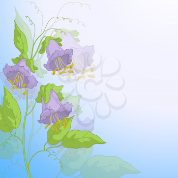 Flowers kobe, lilac petals and green leaves on background of blue sky, vector eps10, contains transparencies