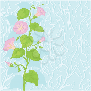Floral background with Ipomoea flowers and leaves and abstract pattern. Vector