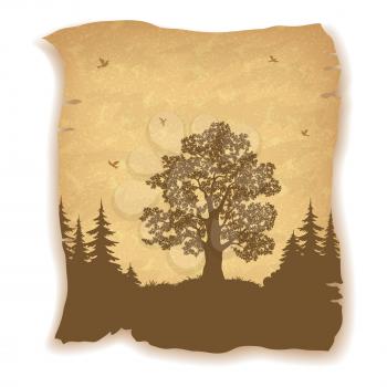 Landscape, Forest, Oak Tree, Firs and Birds Silhouettes on Vintage Background of an Old Sheet of Paper. Eps10, Contains Transparencies. Vector