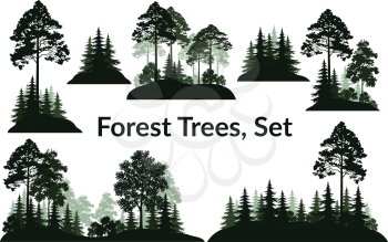 Set Isolated on White Background Landscapes, Green Coniferous and Deciduous Trees and Bushes Silhouettes, Fir, Pine, Maple, Acacia, Lilac. Vector