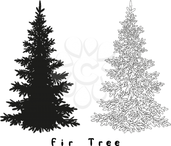 Christmas Spruce Fir Tree Black Silhouette, Contours and Inscriptions Isolated on White Background. Vector