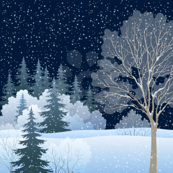 Winter Christmas Holiday Woodland Night Landscape, Forest with Snow Covered Trees and Snowflakes. Eps10, Contains Transparencies. Vector