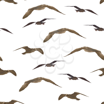 Seamless Background, Flying Birds Gulls, Tile Pattern Isolated on White Background. Vector
