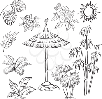 Exotic objects set, black contour on white background: umbrella canopy, plants, leaves, flowers, the sun. Vector