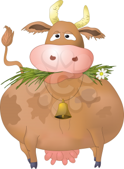 Thick silly cow eats a green grass, isolated on white background. Vector