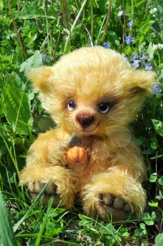 Handmade, the sewed toy: teddy-bear from a golden mohair with a coulomb-pumpkin on a neck on a green grass