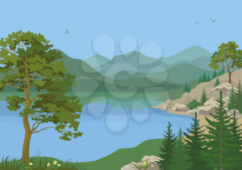 Landscape with Pine, Fir Trees, Flowers and Grass on the Shore of a Mountain Lake under a Blue Sky with Birds. Vector