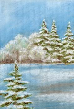 Picture, pastel painting, winter landscape, forest with coniferous trees