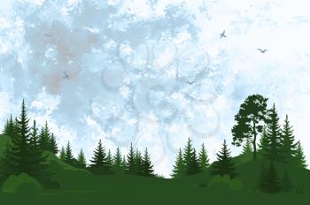 Landscape, Forest with Pine and Fir Trees Green Silhouettes and Sky with Birds on Hand-Draw Watercolor Painting Background