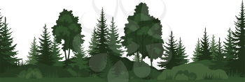 Seamless Horizontal Summer Forest with Trees, Grass and Bushes Green Silhouettes on White Background. Vector