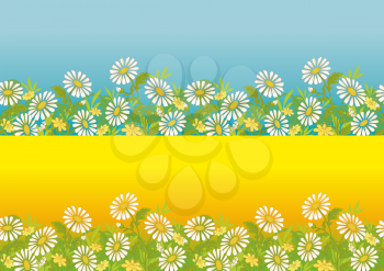 Horizontal Seamless Patterns, Summer or Spring Landscapes, White Chamomile Flowers and Grass on Blue and Yellow Background. Vector