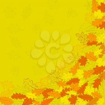 Vector, orange autumn leaves and contours on yellow background