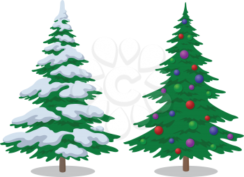 Set of Christmas Fir Trees with Snow and Holiday Balls, Winter Symbol, Isolated on White. Vector