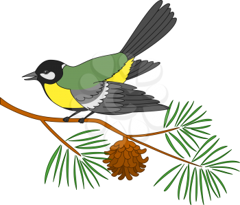 Bird titmouse sitting on a branch of a pine with needles and the cone, isolated