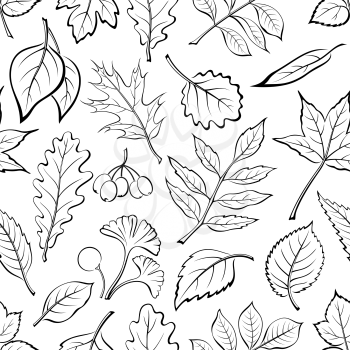 Seamless Nature Background with Black Pictogram Tree Leaves, Oak, Iberian Oak, Raspberry, Willow, Liquidambar, Hawthorn, Aspen, Ginkgo Biloba, Elm Karagach, Birch, Ash, Chestnut and Sambucus. Vector