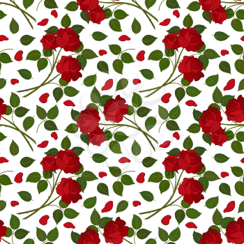 Seamless Floral Background for Holiday Design, Flowers Red Roses with Green Leafs Isolated on White Background. Vector