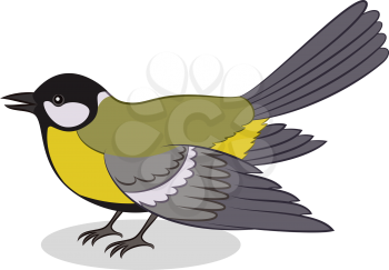 Realistic Cartoon Bird Titmouse, Isolated on White Background. Vector