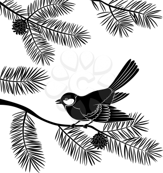 Bird Titmouse Sitting on Pine Tree Branch with Needles and Cones, Black Silhouette Isolated on White Background. Vector