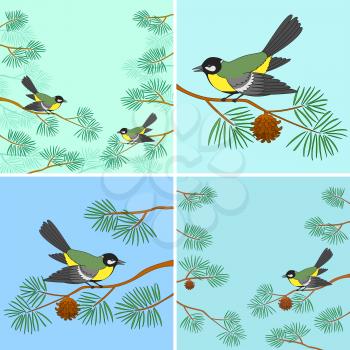 Set Backgrounds, Birds Titmouse Sitting on Pine Branches Against Sky. Vector