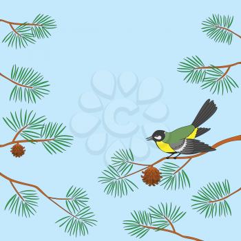 Background, bird titmouse sitting on pine branch against blue sky. Vector