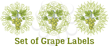 Set of Labels, Stickers with Green Grape Bunches, Berries and Leaves, on Abstract Round Patterns on White. Vector