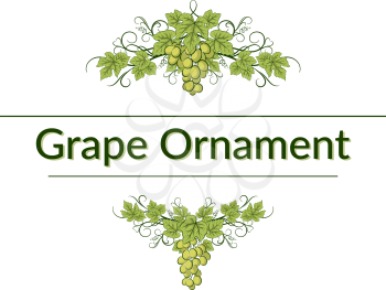 Green Grape Bunches, Berries and Leaves on White Background, Symmetrical Ornament. Vector