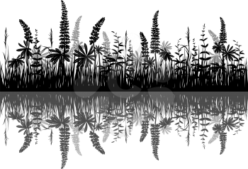 Line Seamless Landscape with Black Silhouette Grass and Lupine, Reflecting in Water, Isolated on White Background. Vector