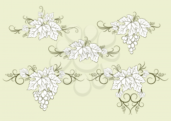 Set of Plant Pictograms, Grape Berries and Leaves Contours. Vector