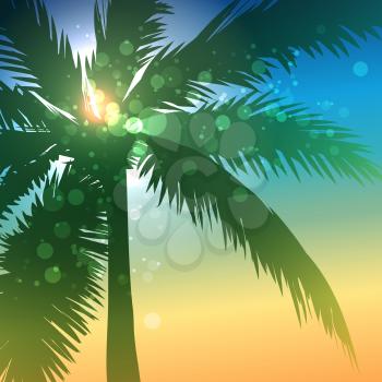Palm tree on seashore background. Vector illustration.