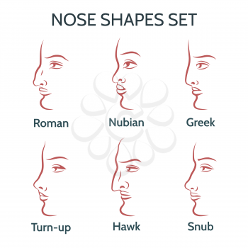 Main Nose Shapes. Contour human faces with different noses. Vector illustration.