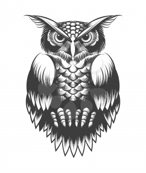 Hand drawing Owl in Tattoo style. Vector illustrartion