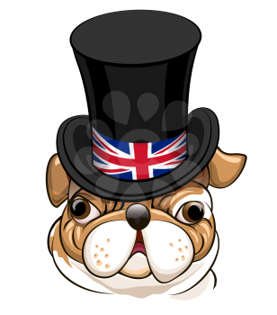 English Bulldog in Black cylinder hat with the symbol of the Great Britain flag.