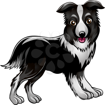 Funny illustration with collie drawn in cartoon style