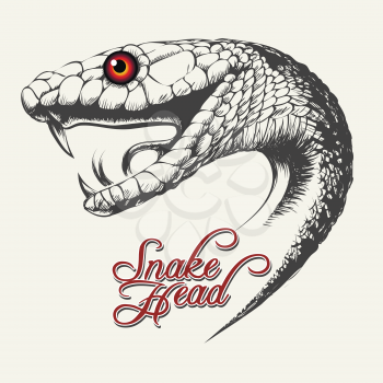 Handdrawn Snake head in tattoo style. Vector illustration.