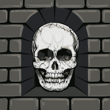 Hand Drawn Skull in The Stone Wall Niche. Vector illustration.